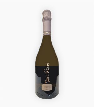 Nani Rizzi Valdobbiadene Brut DOCG