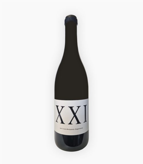 DOMAINE DIDIER DAGUENEAU XXI