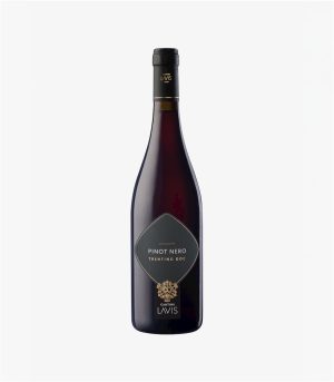 LAVIS PINOT NERO TRENTINO DOC 2024 125 TRENTINO