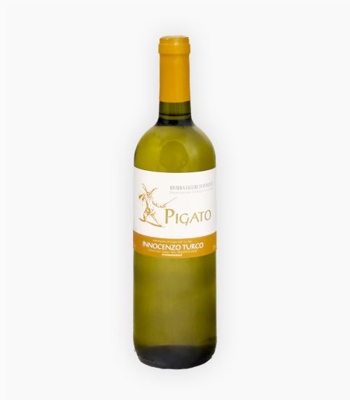 INNOCENZO TURCO PIGATO RIVIERA LIGURE DI PONENTE DOC